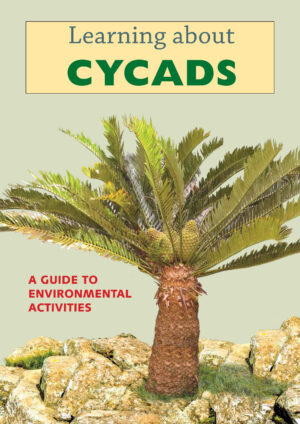 Learning about Cycads