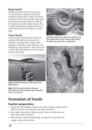 Fossils-reprint-2025-18