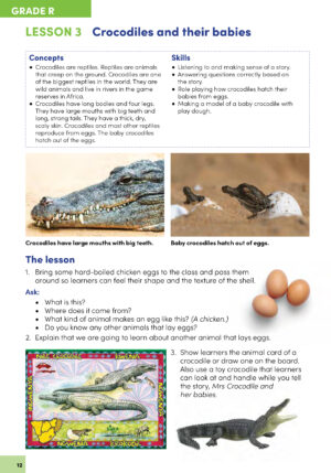 LS_BOOK2_12
