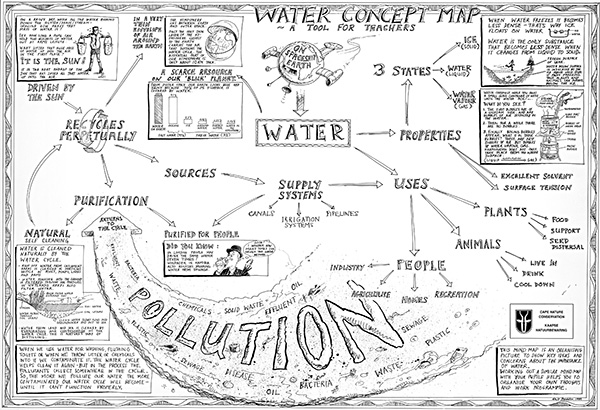 The-Water-Cycle-Poster---back