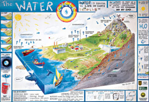 Poster: Water Cycle A3