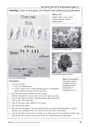 life_living_cover_37-1_grade-7